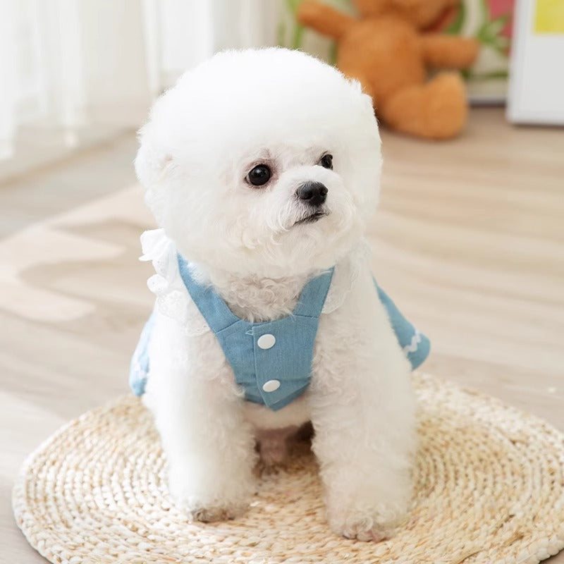 Strawberry Traction Denim Skirt Dog Clothes