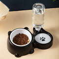 Cat Food And Water Bowl Set - 16 Degree Tilted Dog Dish With Water Dispenser Removable Pet Feeder Bowl Dog Drinking And Eating Bowl Detachable Pet