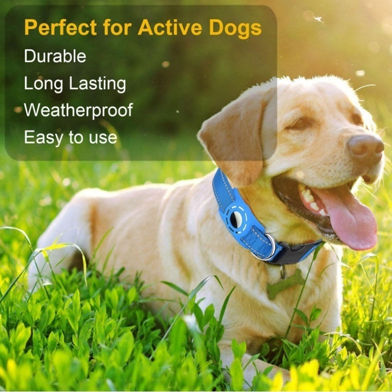 Reflective Adjustable Cat And Dog Anti-Lost Pet Collar