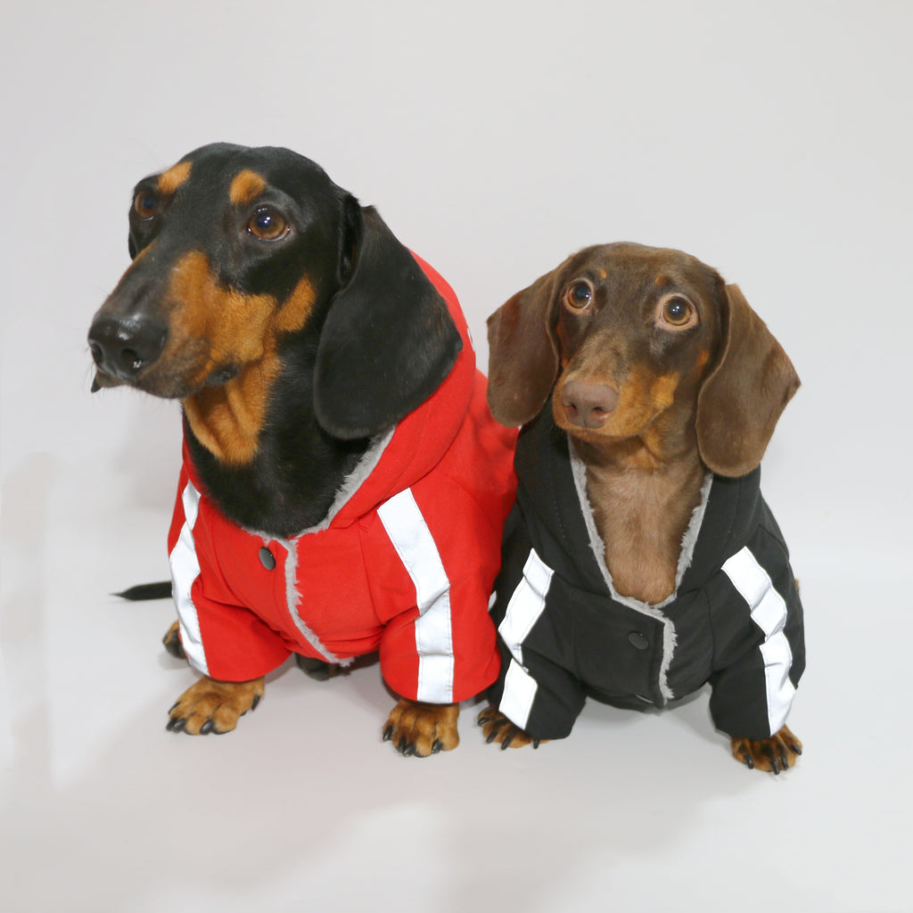 Dog Cat Pet Clothes Winter Warm Reflective Outdoor Four-legged Pet Clothing