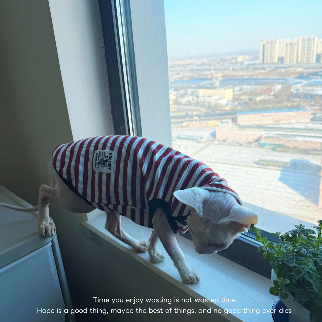 Sphynx Cat Spring Sleeveless Shirt Red And White Striped Fashion Clothes For Hairless Cats Devon Rex