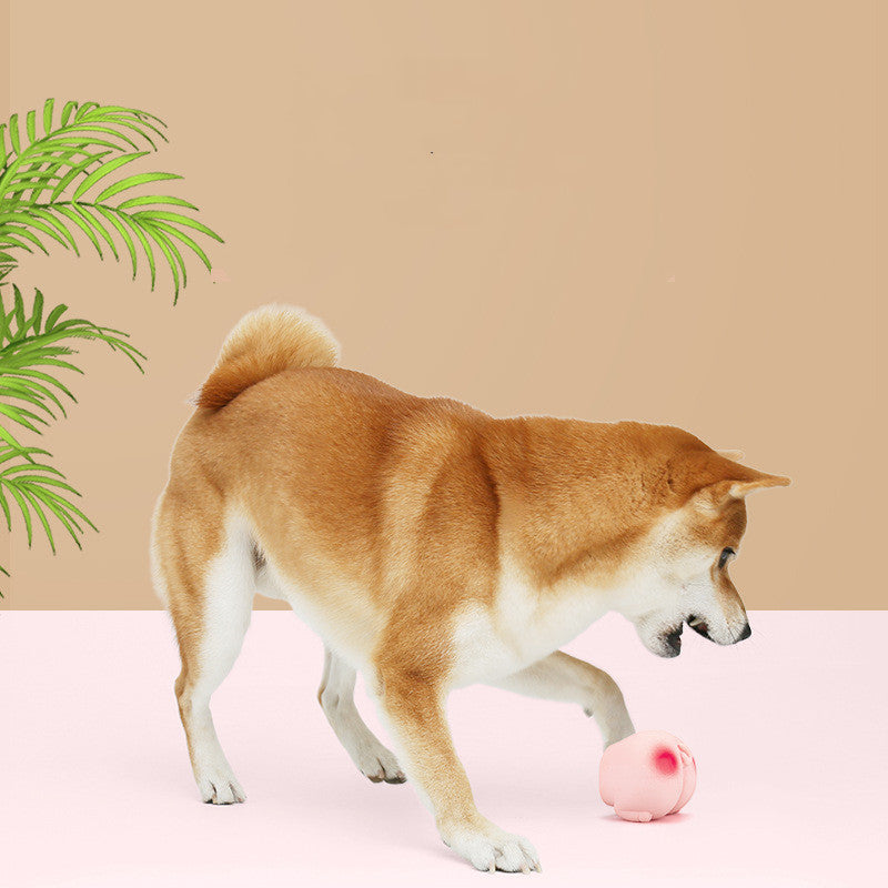Pet Toy Latex Fart Interactive Soft Sound