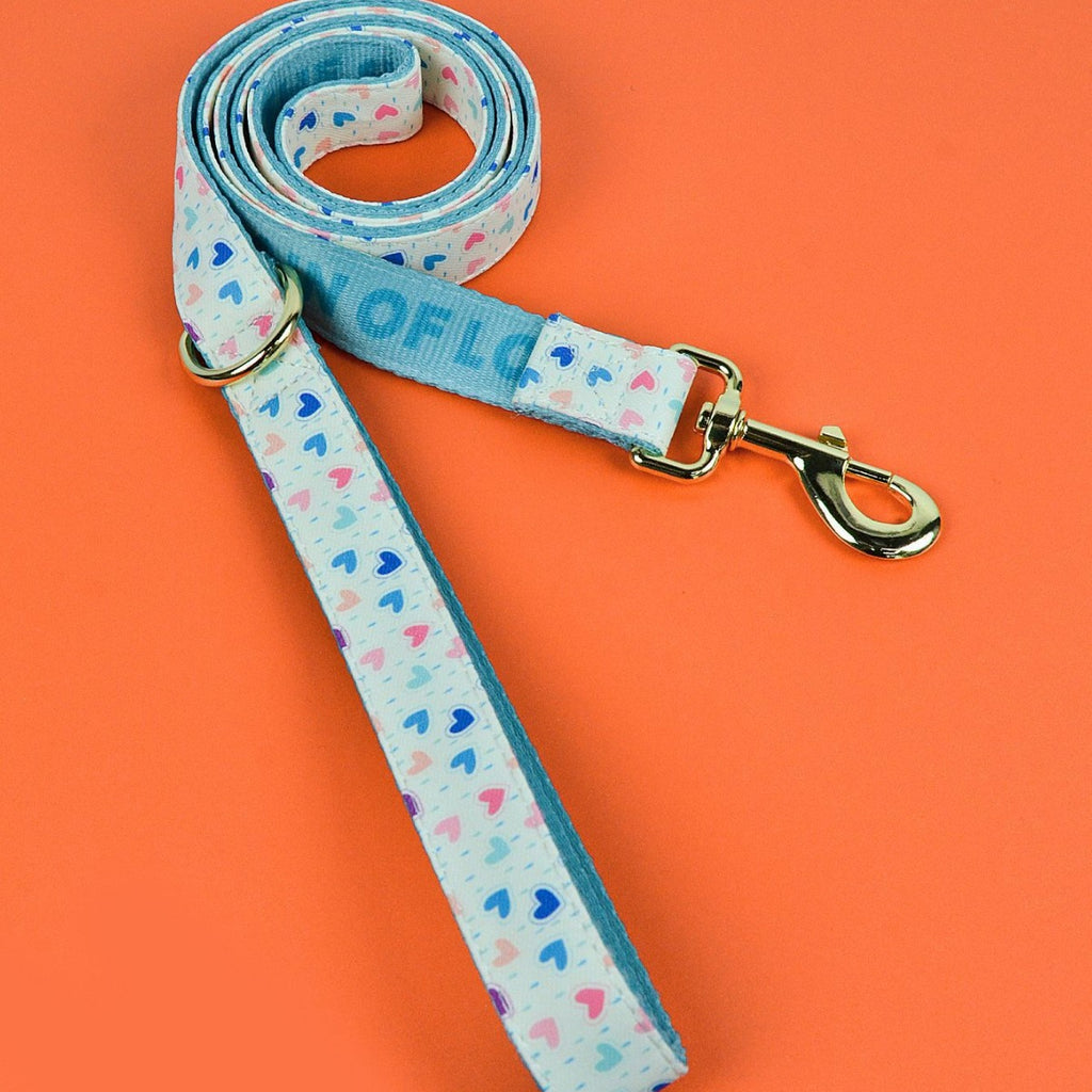 Valentine's Day Love Pet Hand Holding Rope