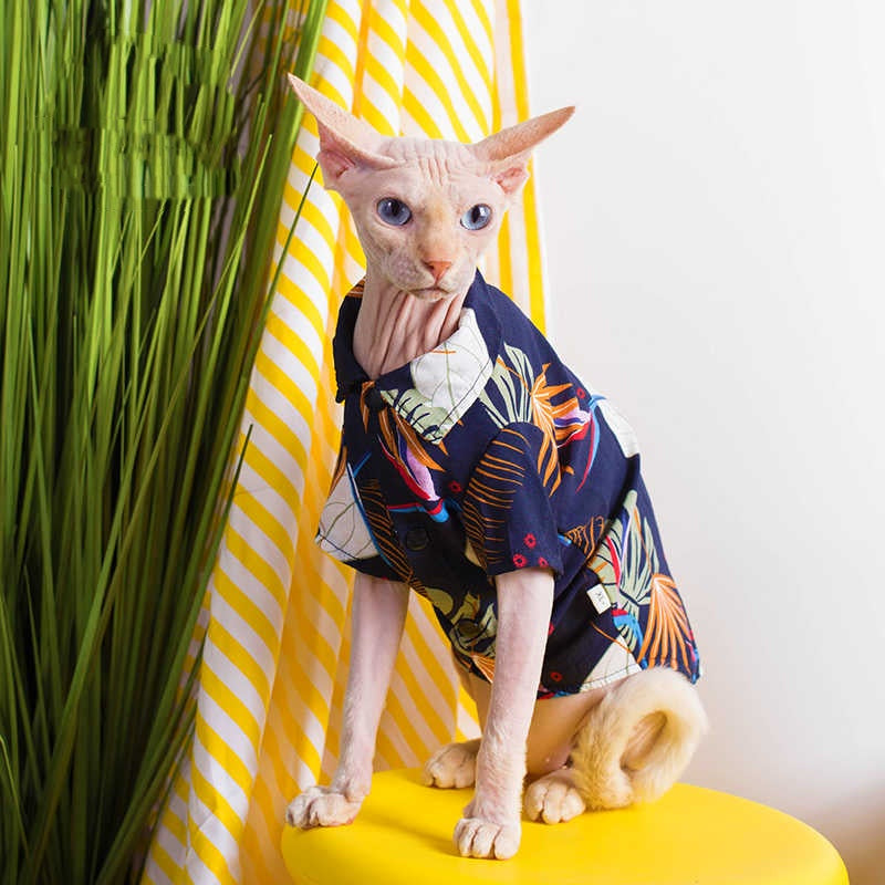 Sphynx Cat Summer Shirt Hawaiin Style Button Up Clothes