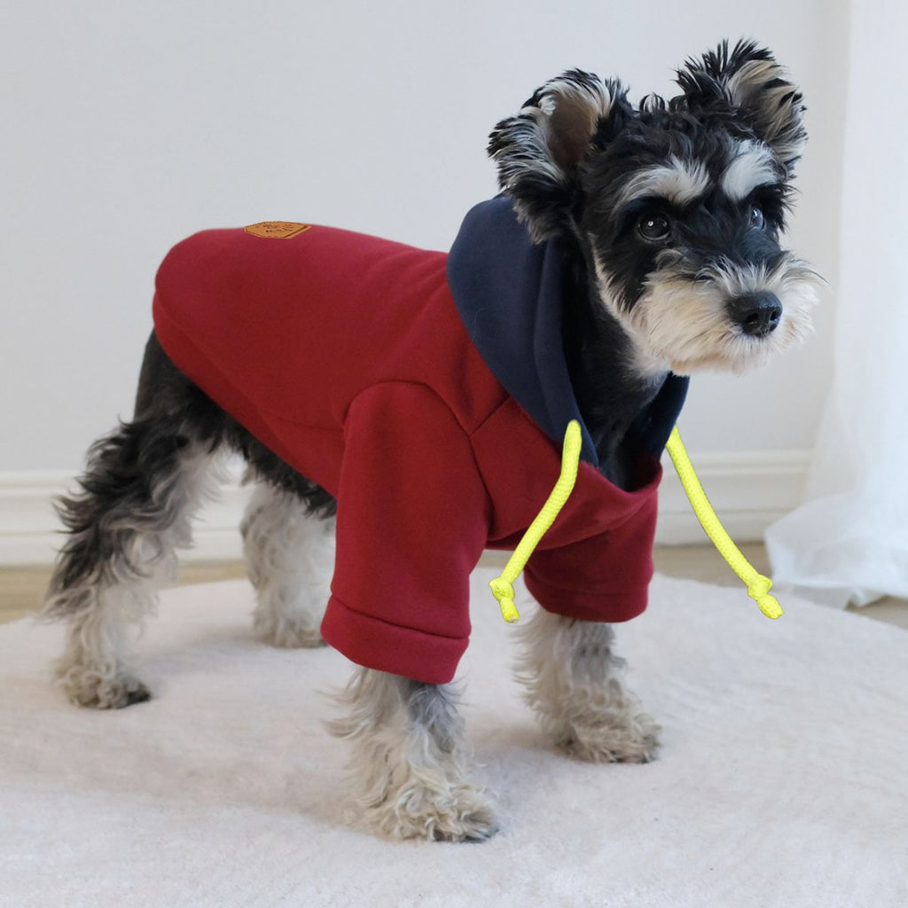 Pet Clothing Clothes Simple Hooded Pullover Contrast Color