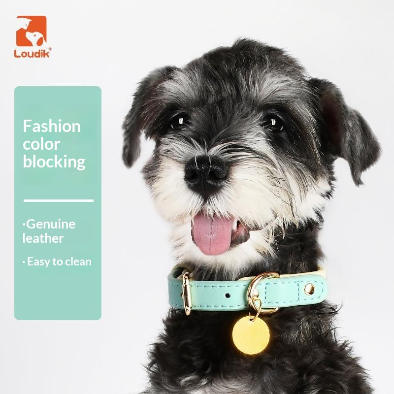 Leather Pet Collar For Small And Medium-Sized Dogs