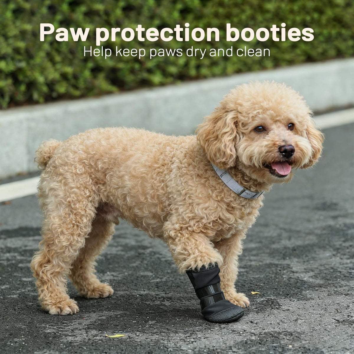 Dog Recovery Boot For Injured Paws - Breathable Dog Shoes With Non-Slip Sole & Self-Adhesive Strap, Dog Bootie To Protect Wounds From Licking, Dirt