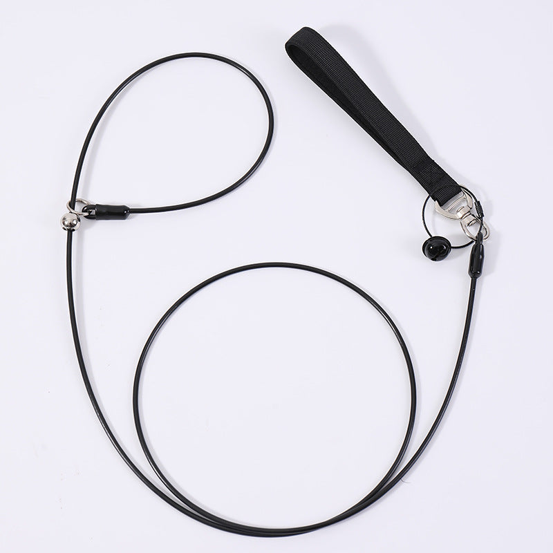 Pet Leash And Collar Dog Walking Leash