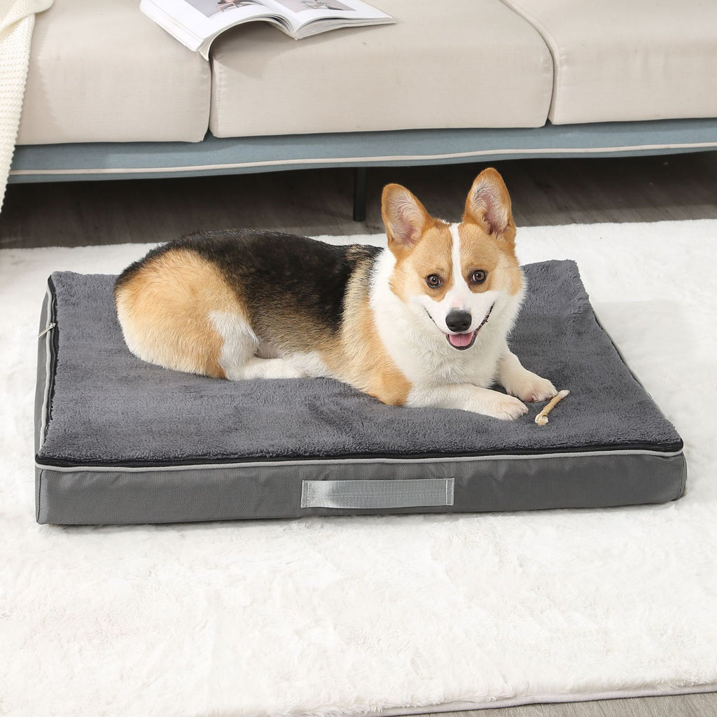 Removable And Washable Memory Sponge Pet Mat