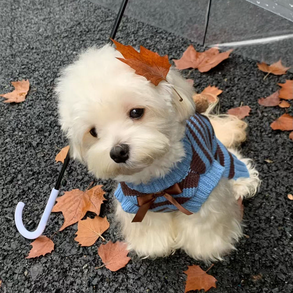 Warm Sweater For Small And Medium-Sized Dogs And Cats