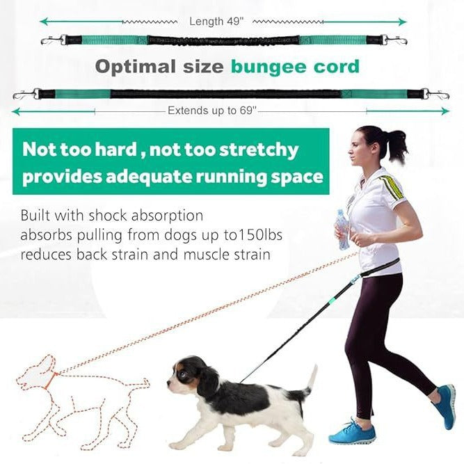 New Product Pet Dog Running Leash Set Reflective Night Running Waist Bag