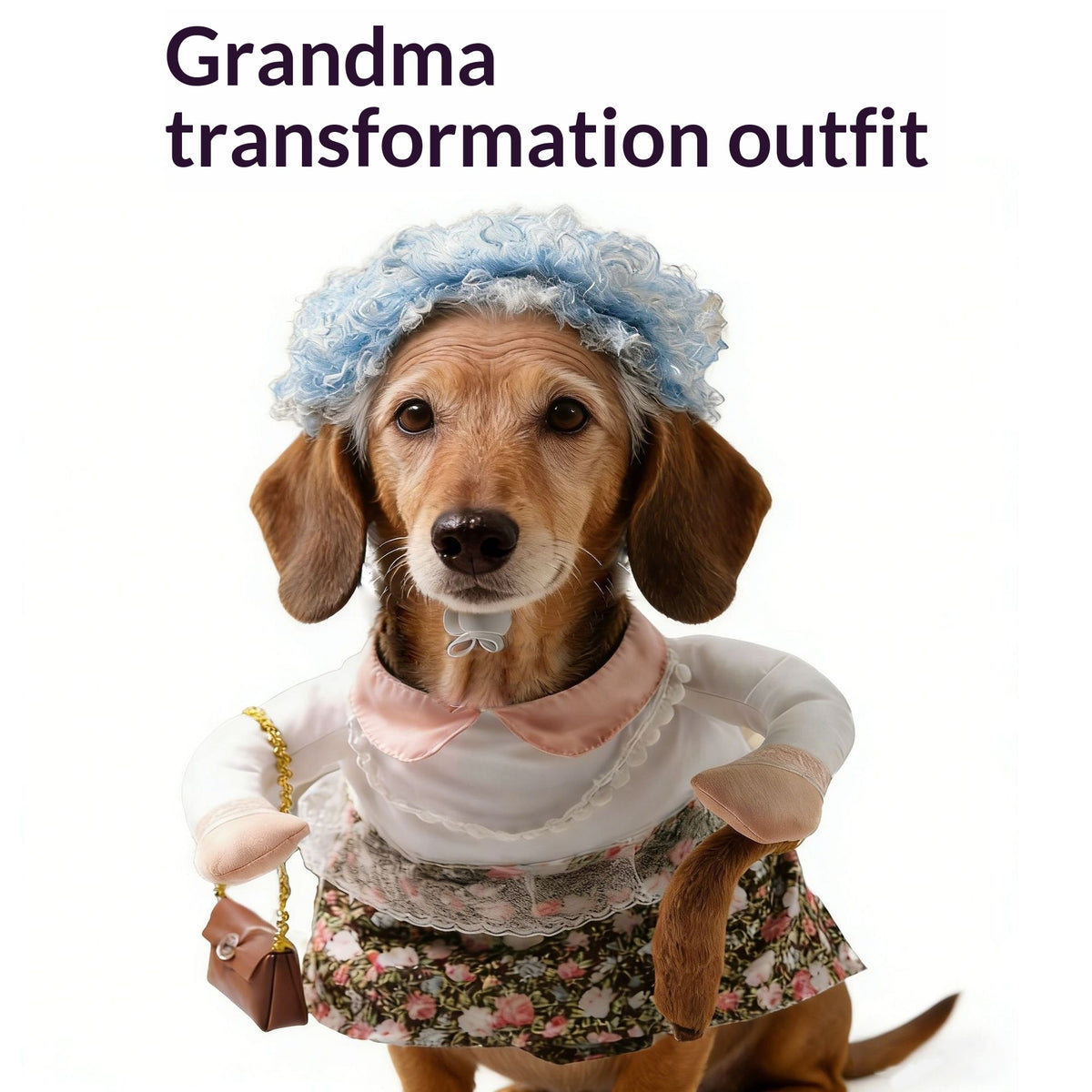 Pet Costume Cat Transformation Funny Holiday Dress-Up Outfit