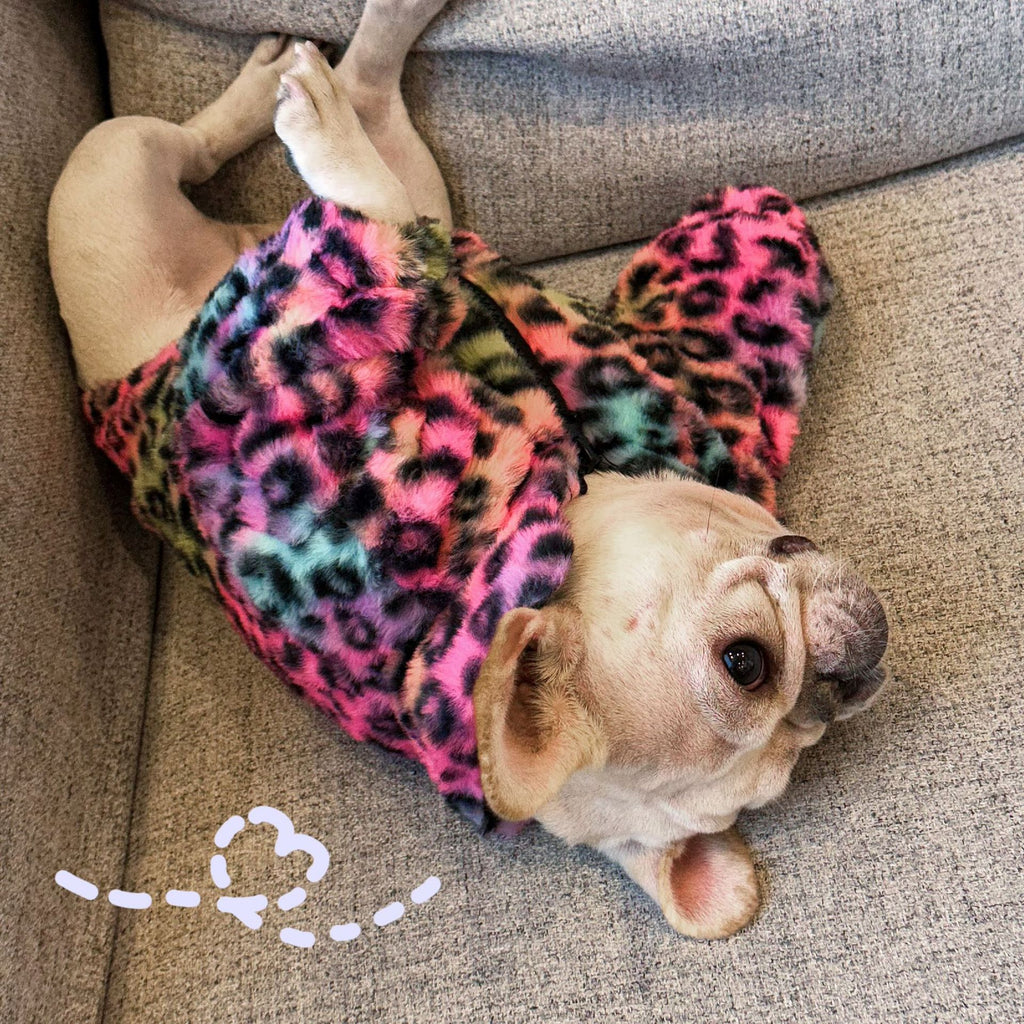 Pet Clothes Colorful Leopard Print Velvet Coat
