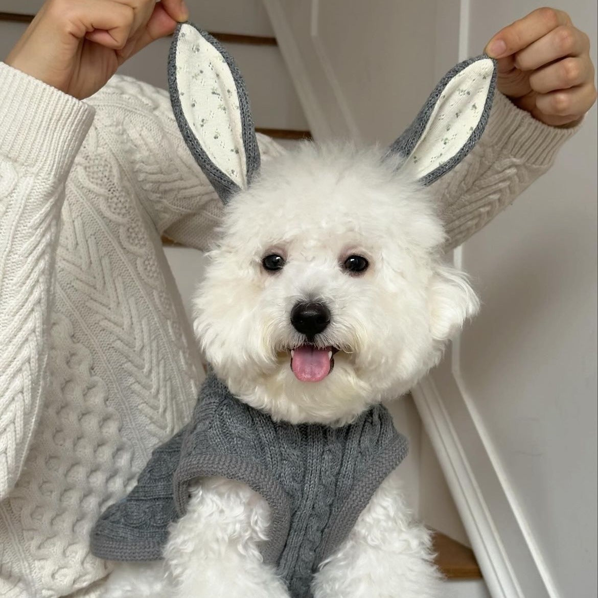 Simple Warm Pet Clothes Cape And Shawl