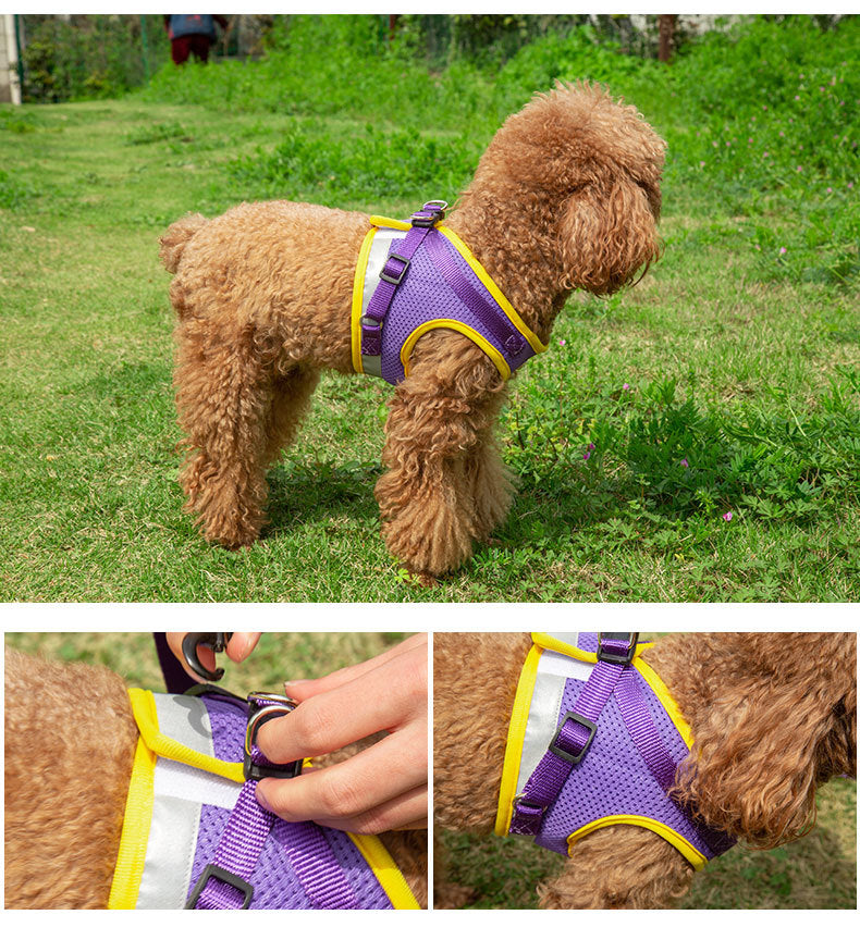 Light Reflecting On Small And Medium Dog Rope