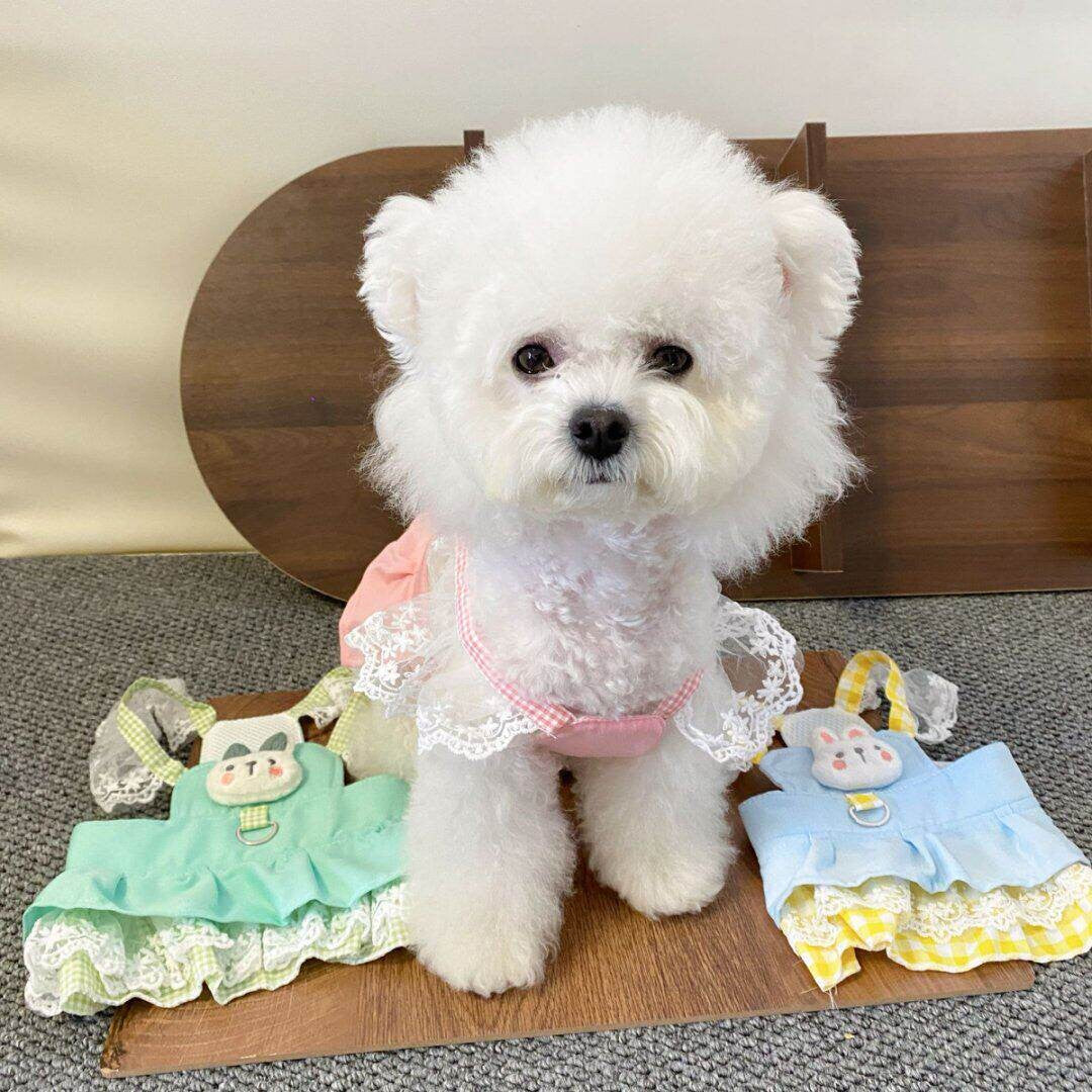Pet Clothing With Leash Attachment Cute And Sweet Princess-style Floral Strap Dress