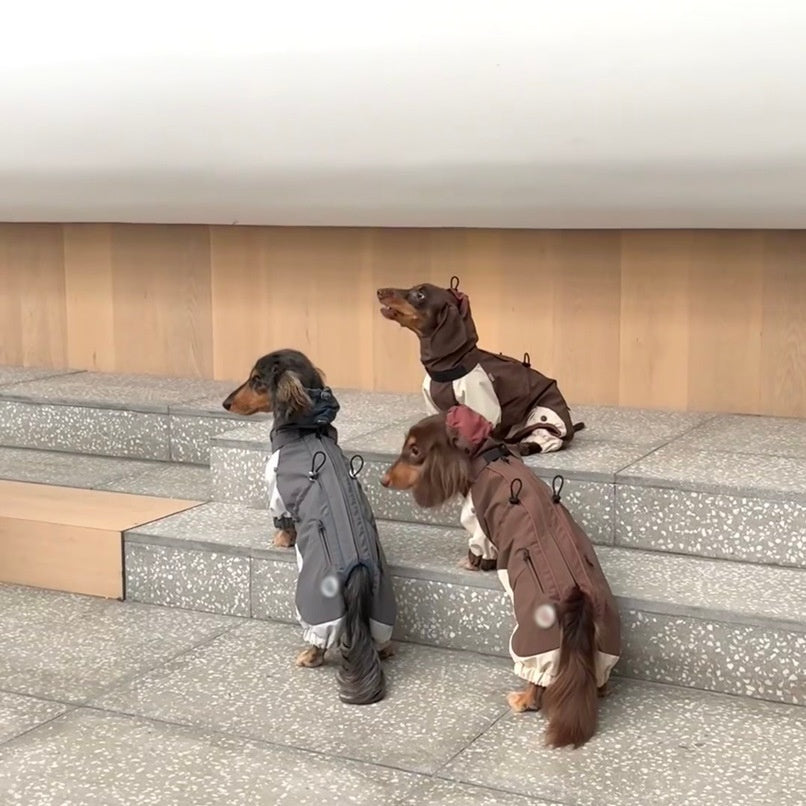 Cold-proof Dachshund Pet Clothes Autumn And Winter Shell Jacket