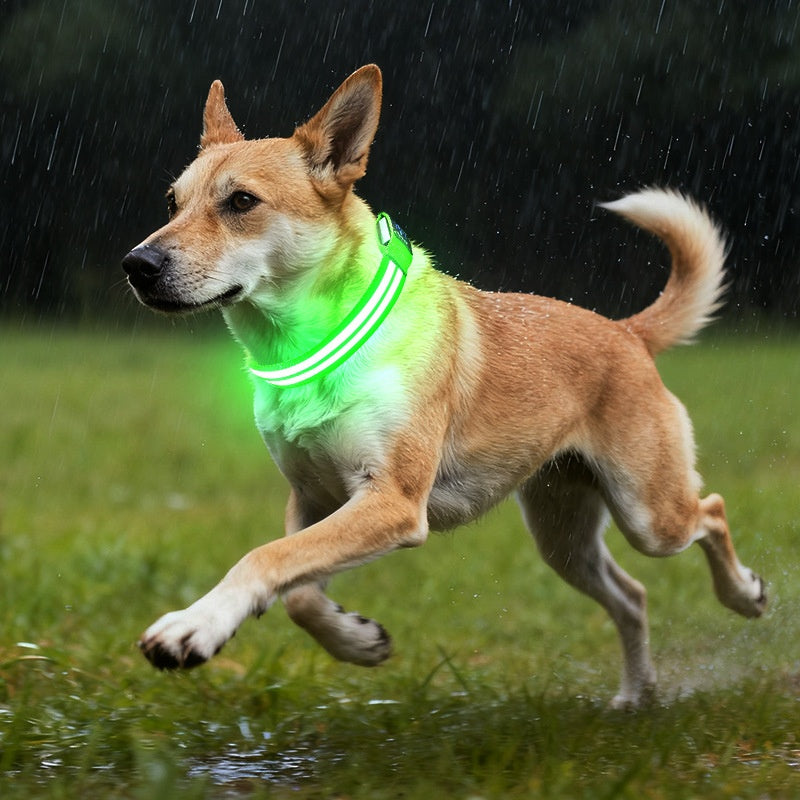 Shiny Dog Collar Double Fiber Pet Night Collar
