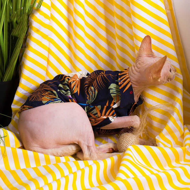 Sphynx Cat Summer Shirt Hawaiin Style Button Up Clothes