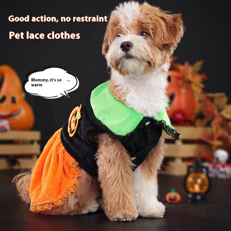 New Arrival Pet Costume Halloween Classic Pumpkin Skirt Bichon Teddy Dog Cat Christmas Clothes
