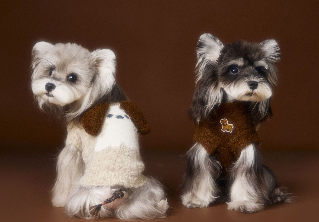 Autumn And Winter Sleeveless Teddy Schnauzer Bichon Puppy Head Three-dimensional Ear Sweater Vest