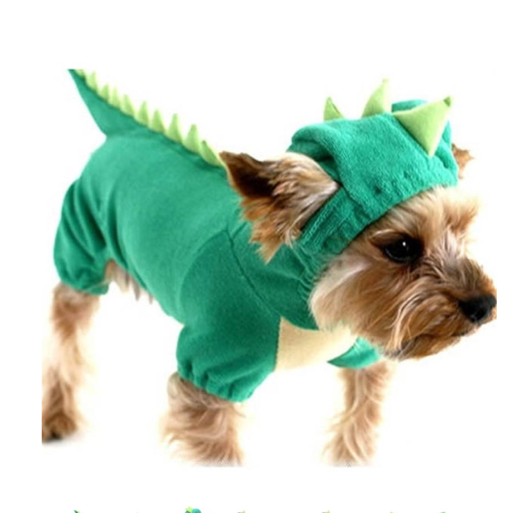 Pet Dog Halloween Dinosaur Dress Up Teddy Bear Medium and Small Dog Dog Clothes