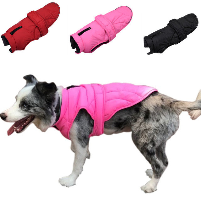 Waterproof reflective outdoor dog clothes
