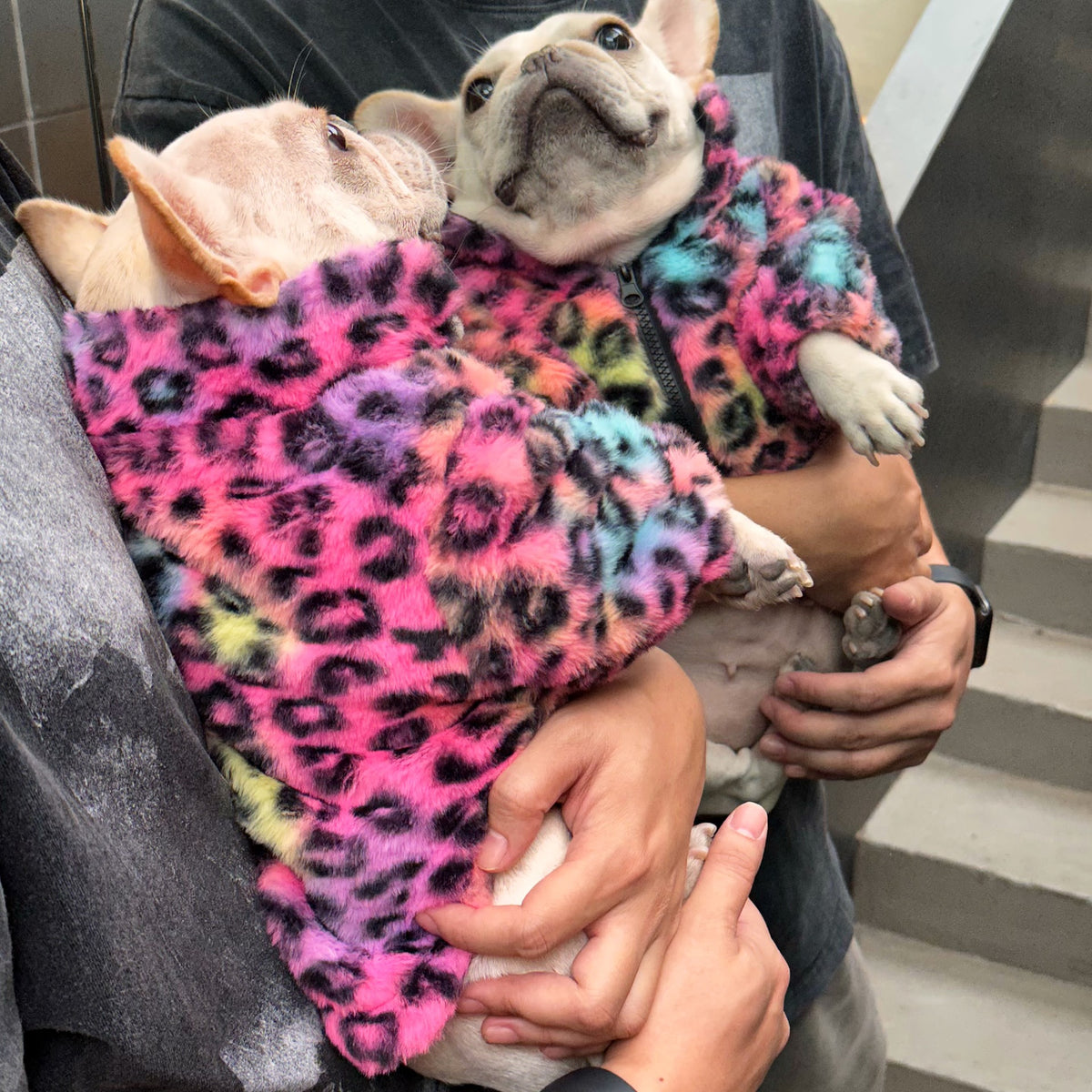 Pet Clothes Colorful Leopard Print Velvet Coat