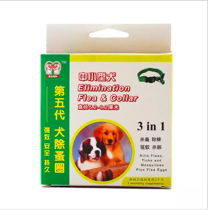 Dog in addition to the collar