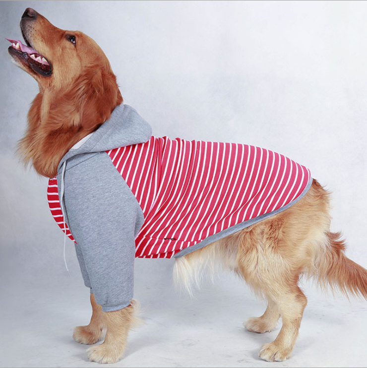 Big dog clothes in autumn and winter