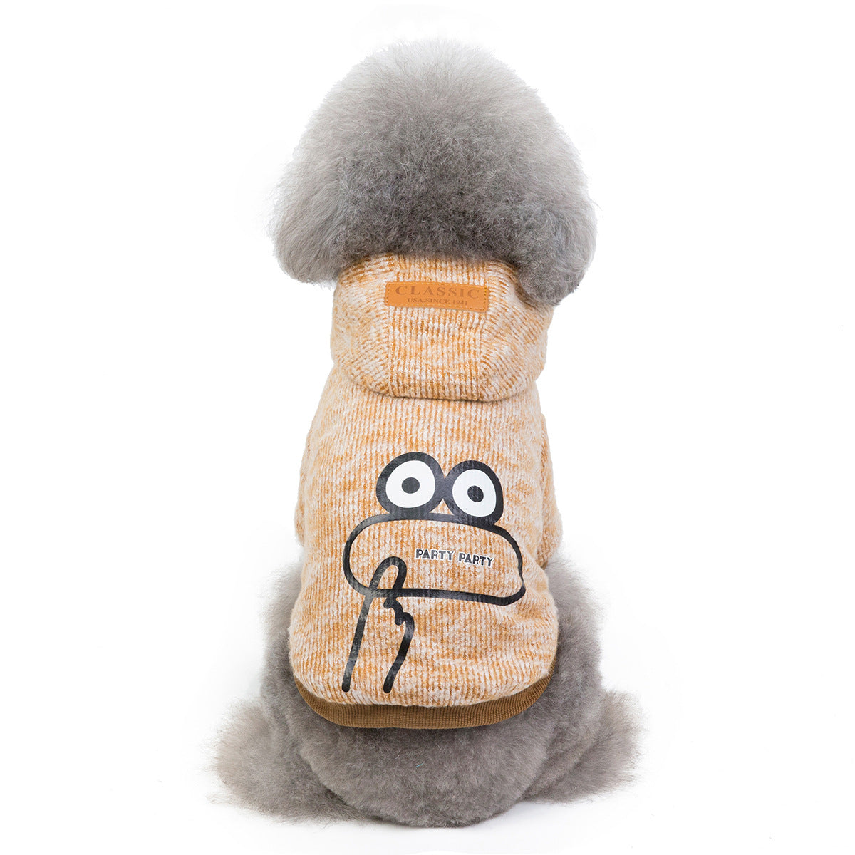 Teddy dog clothes