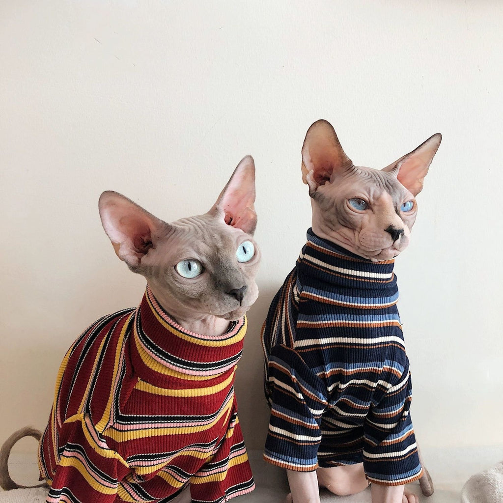 Springsummer Sphinx Hairless Cat Clothing Breathable And Artistic