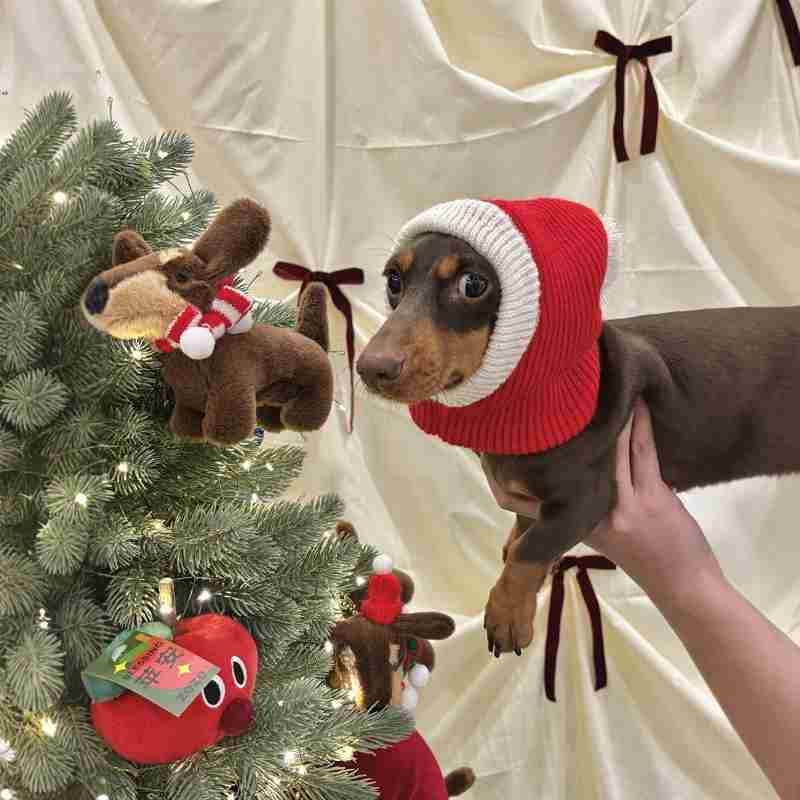 Christmas Dress Up Warm Plush Dachshund Hat