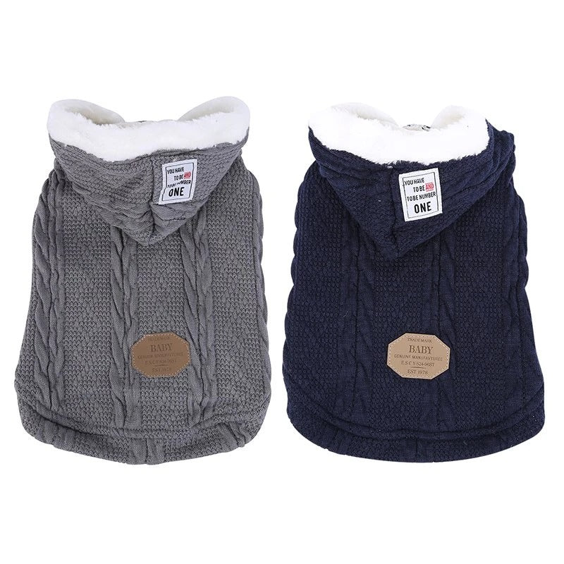 Teddy dog clothes