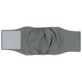 Dog physiological pants