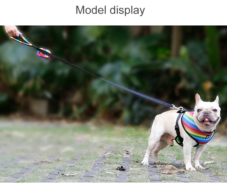 Rainbow chest strap