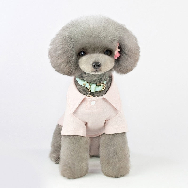 Cotton fashion dog clothes
