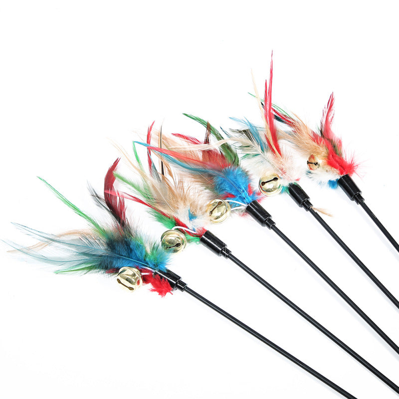 Pet funny cat stick
