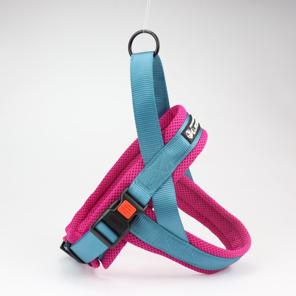 Chest And Back Pet Chains Collars Leash Pet Supplies