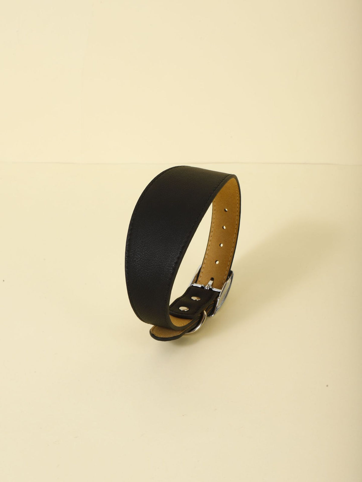 New Pet Casual Adjustable Collar