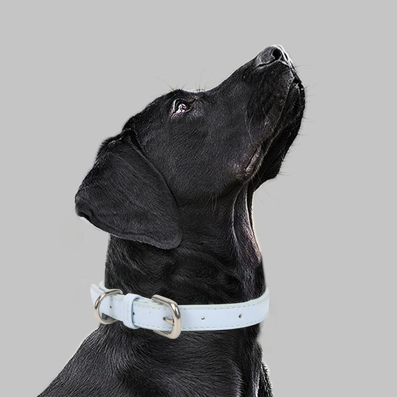 Leather Pet Collar For Small To Medium-sized Dogs With A Pull Rope