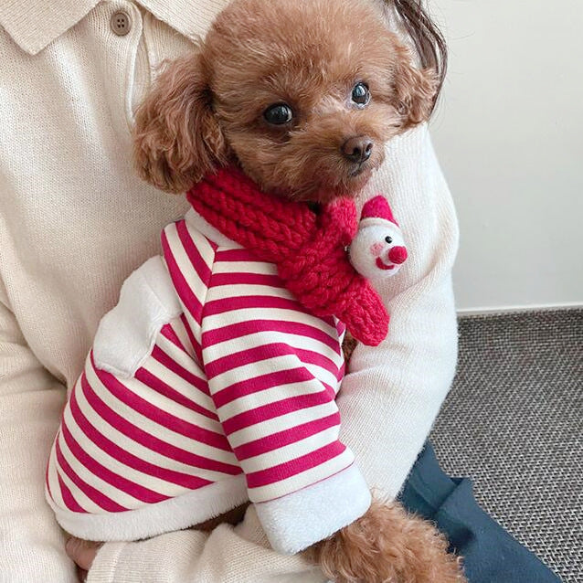 Fashion Simple Christmas Dog Clothes Set
