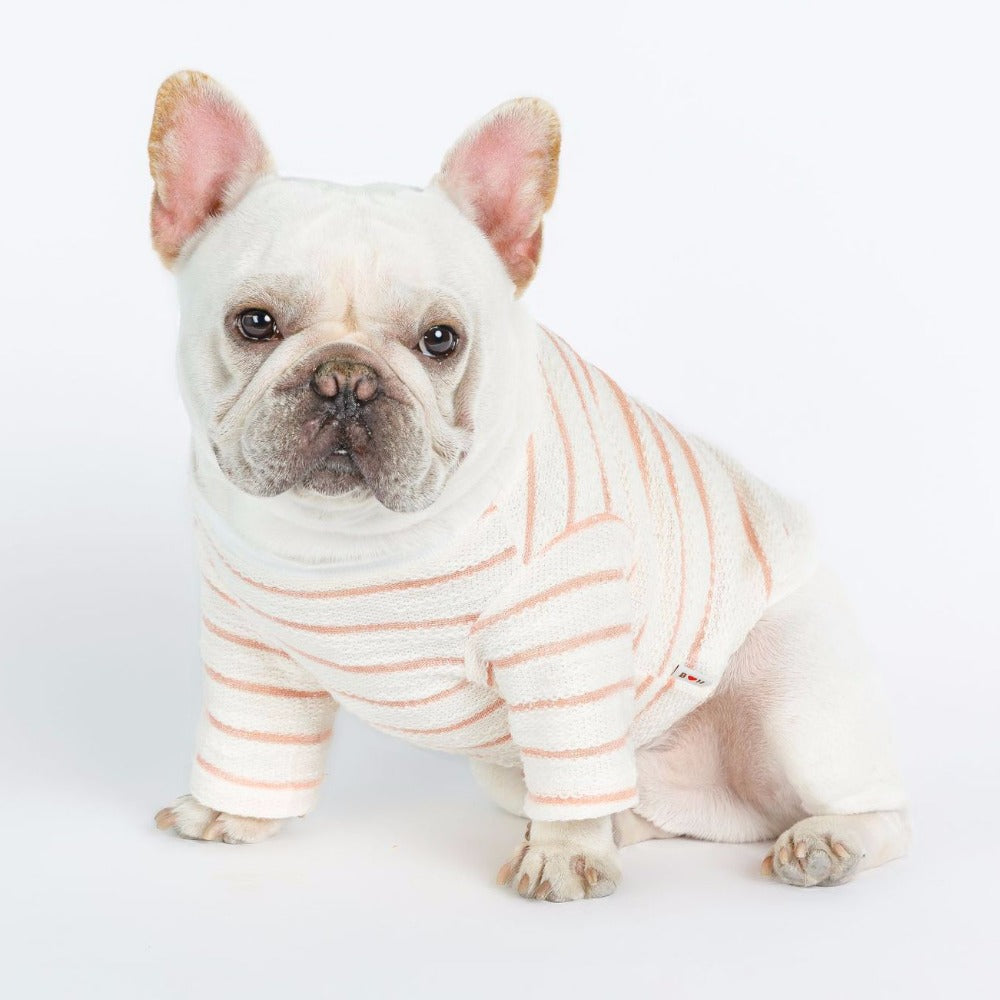 French bulldog pet clothes
