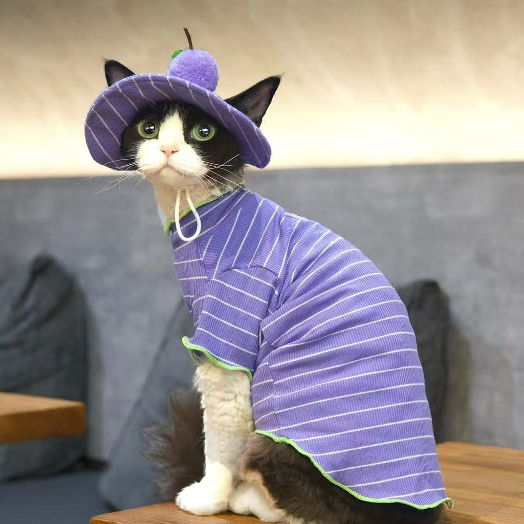 Cat Purple Striped Summer Outfit T-Shirt And Grape Sun Hat 2 Piece Set
