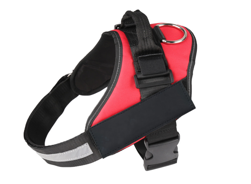 Pet chest strap with dog leash