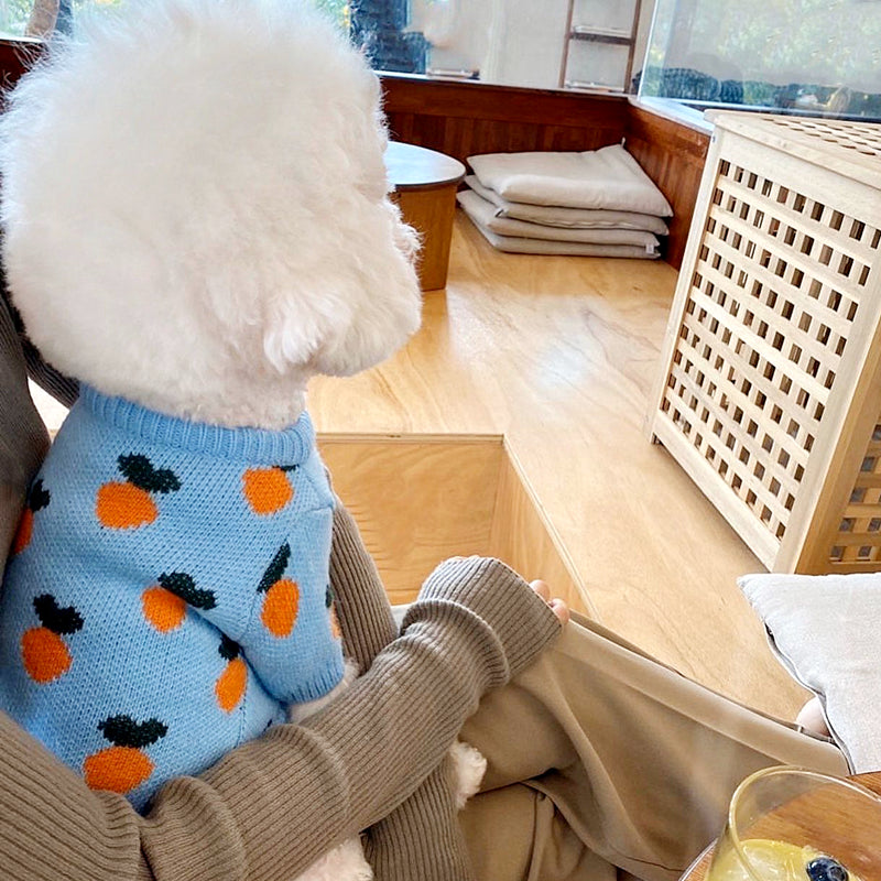 Cute Printed Dog Clothes Knitted Sweater Long Sleeve