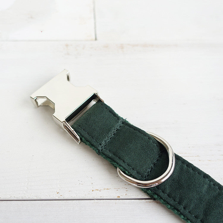 Pet neck collar for medium-sized dogs