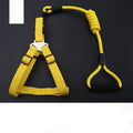 Dog Leash Golden Retriever Teddy Chest Strap Collar