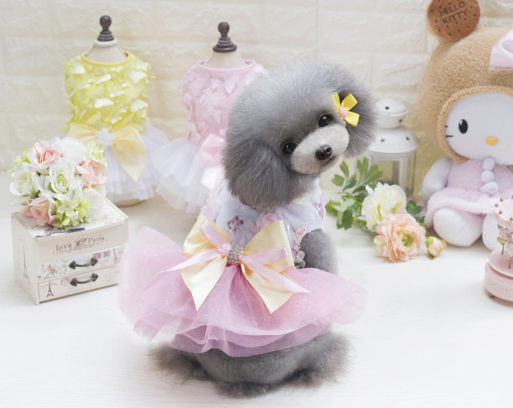 Teddy dog pet dress