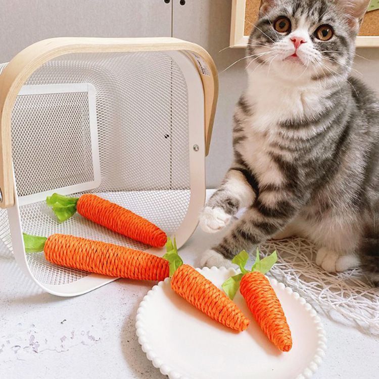 Sound Carrot Kittens Molar Rod Cat Scratch Board